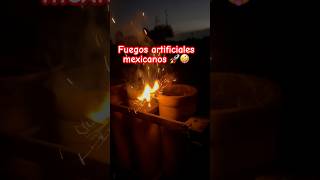 Los mejores fuegos artificiales de México Facebook LapolvoraMx look viralvideo viralshorts [upl. by Cassondra]