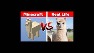 😍Minecraft mobs 🤡items real life1ksubscribers viralvideo minecraft minecraftgameplay 1million [upl. by Aliehs205]