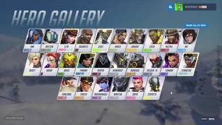 Unlock ALL skins instantly  Overwatch cheat [upl. by Ruggiero]