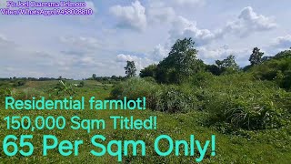 vlog 628 Residential Farmlot 65 per Sqm onlywith Riceland and Pasture land [upl. by Rosati]