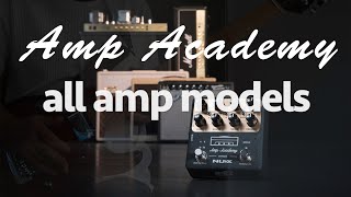 NUX Amp Academy Unboxing and Playthrough [upl. by Anitak]