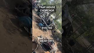 CHOPPED CHOP SILVERADO DEAD CAT STOLEN STUFF NO ELECTRICITY GAS WATER HOOD TRAP HOUSE 2024 2025 [upl. by Zuzana]