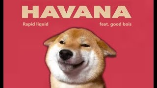 Havana  Shibe cover [upl. by Waterman863]