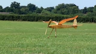 FreeFlight compilation at Old Warden ModelAir July 2016 [upl. by Yelyak]