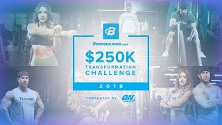 250000 Transformation Challenge  2018 [upl. by Eneleh]