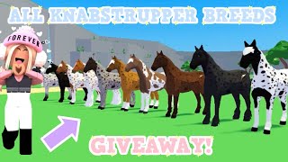 🤍ALL NEW KNABSTRUPPER CROSSBREEDS  GIVEAWAY💰Roblox Horse Valley [upl. by Descombes934]