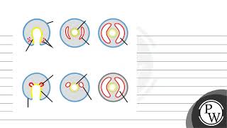 Define coelom Explain the two types of coelom formation with examples in animals [upl. by Meuse]