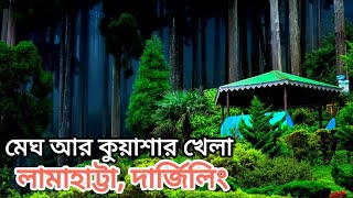 Offbeat North Bengal । Offbeat Lamahatta Darjeeling tour । Offbeat village near Darjeeling । [upl. by Ais]