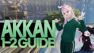 Lost Arkㅣ Akkan Normal Gate 12 Guide 《Basic to Outline Mechanics》 [upl. by Lucio]