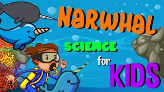 Narwhal  Science for Kids [upl. by Reade]