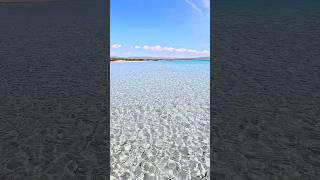 Porto Pino col maestrale🌊🌬️🌬️ 💙sardinia sardegna travel beautiful shorts shortsvideobeautiful [upl. by Elawalo]