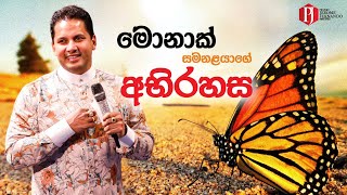 මොනාක් සමනලයාගේ අභිරහස with Prophet Jerome Fernando [upl. by Neyu]