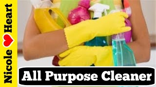 How to Make All Purpose Cleaner  DIY No Rinse Homemade Cleaner by Nicoles Heart [upl. by Sheelah]