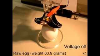 Soft and strong gripper combining electroadhesion and DEA [upl. by Cornall]