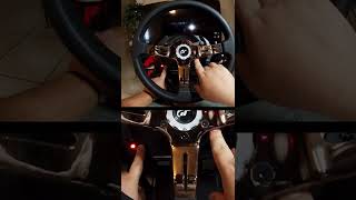 Thrustmaster T300 TX  How To Force Fan Mode and Invert Pedals [upl. by Marlin]