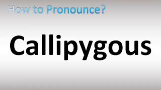 How to Pronounce Callipygous [upl. by Blanch]