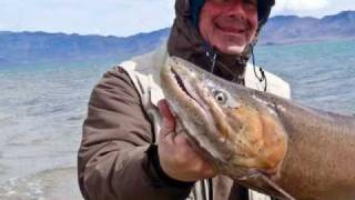 Fishing the Great Pyramid for Lahonton Cutthroat Trout [upl. by Otrebogir]