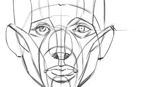 Art Practice 005  Drawing Abstraction of the head front [upl. by Zach]