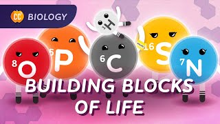 Carbon amp Biological Molecules What is Life Made Of Crash Course Biology 20 [upl. by Nyletac31]