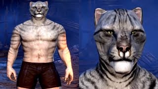 Skyrim Races  Khajiit Cat People [upl. by Auroora]