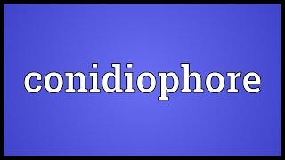 Conidiophore Meaning [upl. by Foote]