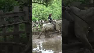 en el rancho la vida es más sabrosa toros jaripeo divertido [upl. by Atsahc546]