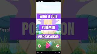 Catching the Cutest Wailmer in Pokémon GO 🐳💙 pokemon [upl. by Pegma]