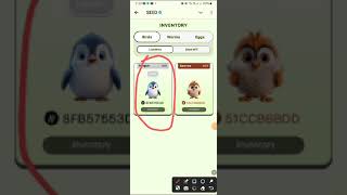 How to mint seed NFT full details HD Earn Earlier Tokens mintseed seedtokens crypto [upl. by Kipton152]