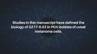 GZ17602 Kills PDX Isolates of Uveal Melanoma  Oncotarget [upl. by Anelahs]