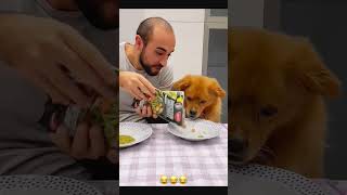 Sorry dog 🐶 petcommunity funny funnydog petloversunite pets duet funnypet funnyanimal funny [upl. by Htebizile]