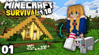 The PERFECT Start  Minecraft Survival Lets Play 118 Ep 1 [upl. by Akenom874]