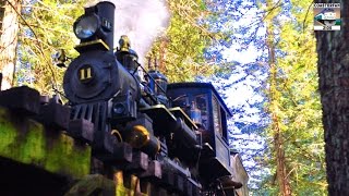 MINIATURE Steam Train Redwood Valley Railway [upl. by Atinal]