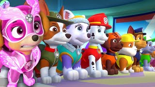 Paw Patrol Live Full Episodes in English New Episodes 2024 Paw Patrol Cartoon Movie Nick Jr [upl. by Ofloda]