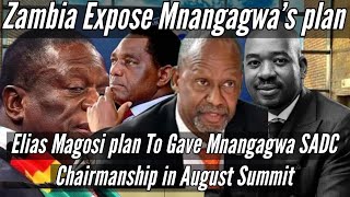 Watch Live Elias Magosi plan to gave Mnangagwa SADC Chairmanship in August Summit  Exposed 🇿🇼 [upl. by Allistir66]