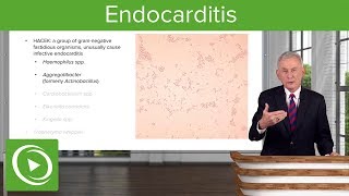 Endocarditis Definition Pathology Classification amp Diagnosis – Infectious Diseases  Lecturio [upl. by Zoe]