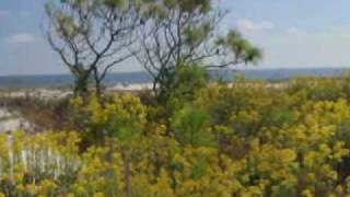 St George Island is a mecca for outdoor activities [upl. by Ringo571]