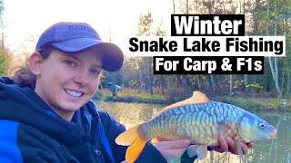 Winter Snake Lake Fishing For Carp amp F1s  The Oaks lakes I Maple Lake [upl. by Ikeda]