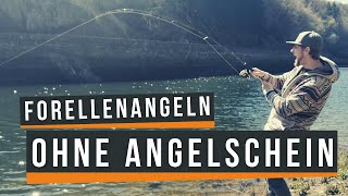 Angeln Baden Württemberg  Ohne Angelschein  So geht’s [upl. by Josephine719]