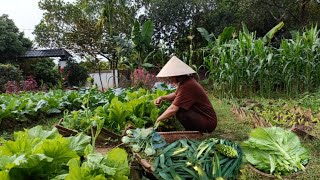 How I preserve a variety of vegetables without losing their freshness and cooking flavor [upl. by Aitnohs]