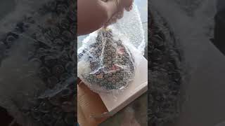 PRIDOR MAGNET COMPLETE CD100Cc Makkah autos viralreels viralvideo [upl. by Brietta]