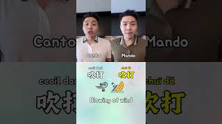 Cantonese vs Mandarin  Blow cantonese mandarin languagelearning language chinese [upl. by Leslie]