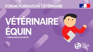 Conférence FFVET24  Vétérinaire équin [upl. by Ellehcsor]