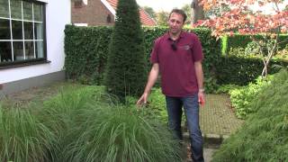 Siergras Pennisetum  twishgardennl [upl. by Naik]