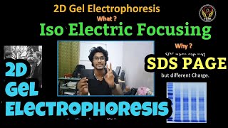 2D Gel Electrophoresis  Iso Electric Focusing  Point  Tamil  SDS PAGE  Biology  ThiNK VISION [upl. by Slyke]