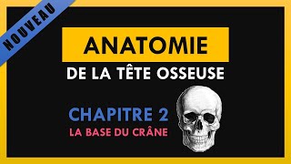 Anatomie De La Tête Osseuse  Chapitre 2  La base du crâne [upl. by Tomkins85]