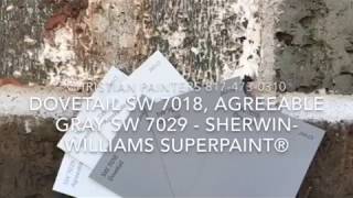 Dovetail SW 7018 Agreeable Gray SW 7029  SherwinWilliams SuperPaint® [upl. by Iahcedrom200]