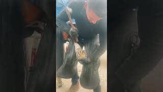 swfarrier farrier horse farriersoftiktok shoeing nailing BurberryTB foryoupage [upl. by Crowns]