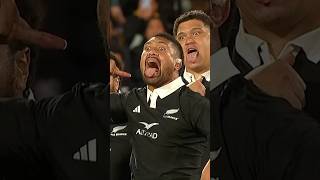 Powerful Haka in Wellington allblacks haka rugby [upl. by Drape425]