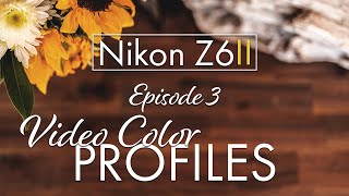 Z6ii Video Color Profiles [upl. by Reisman289]