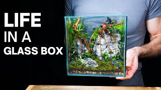 Creating a Mini World In a Glass Box  Nano Cube Terrarium Build [upl. by Isherwood]